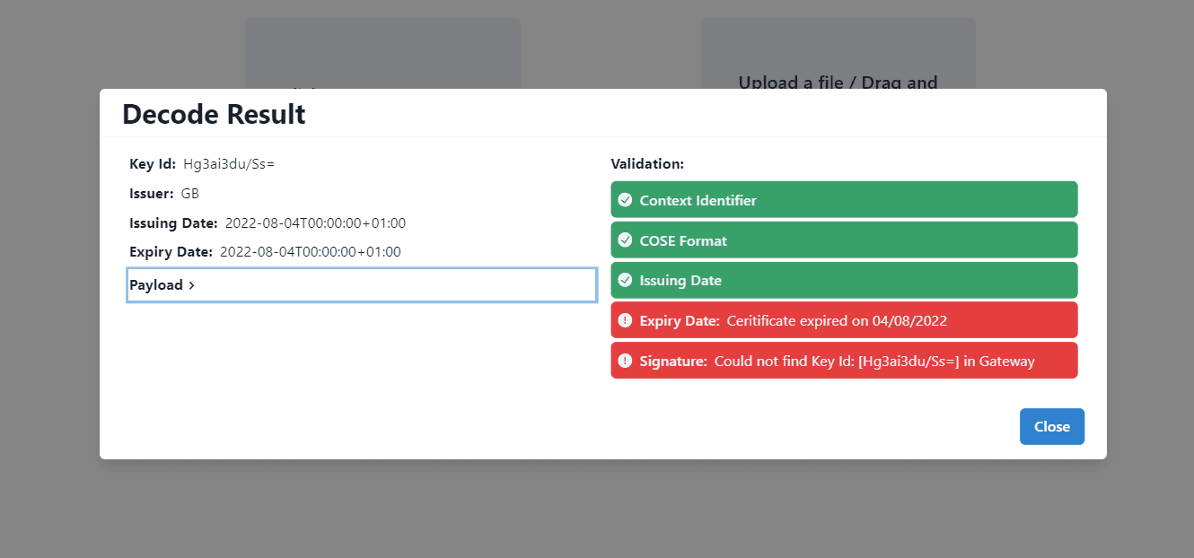 Screenshot of the validation result modal with failures