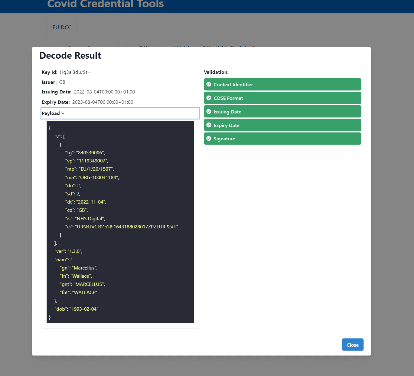 Screenshot of the validation result modal